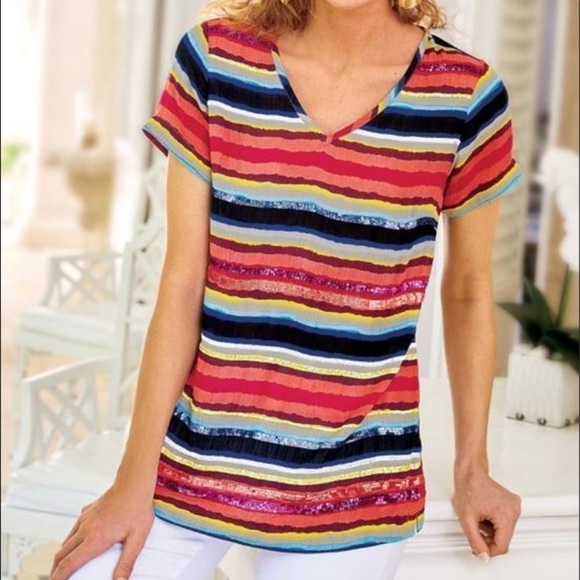 Soft Surroundings Colorista Sequin Striped Colorful Tunic Short Sleeve Top - Picture 2 of 13